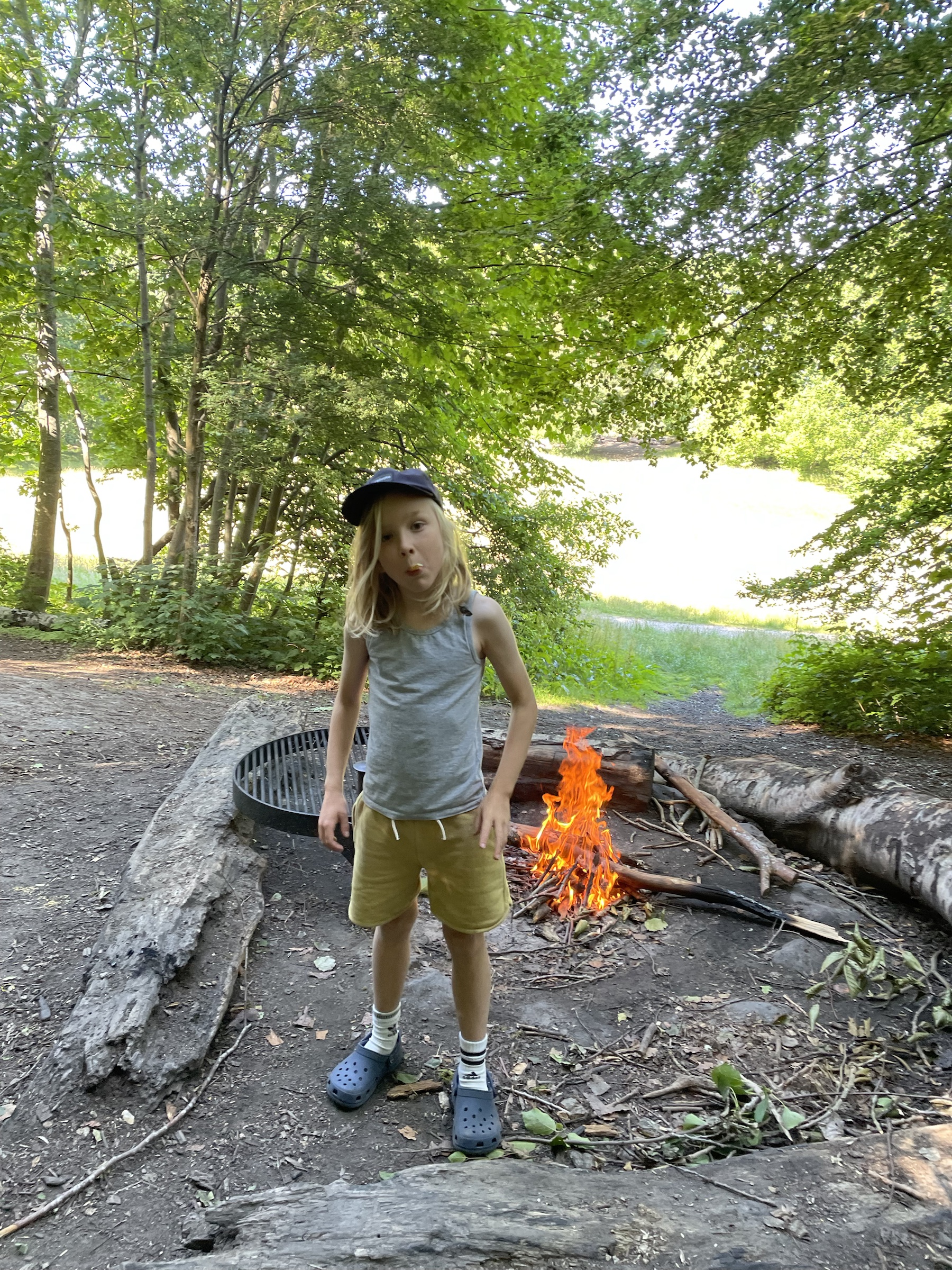 Lille bål i skovkanten