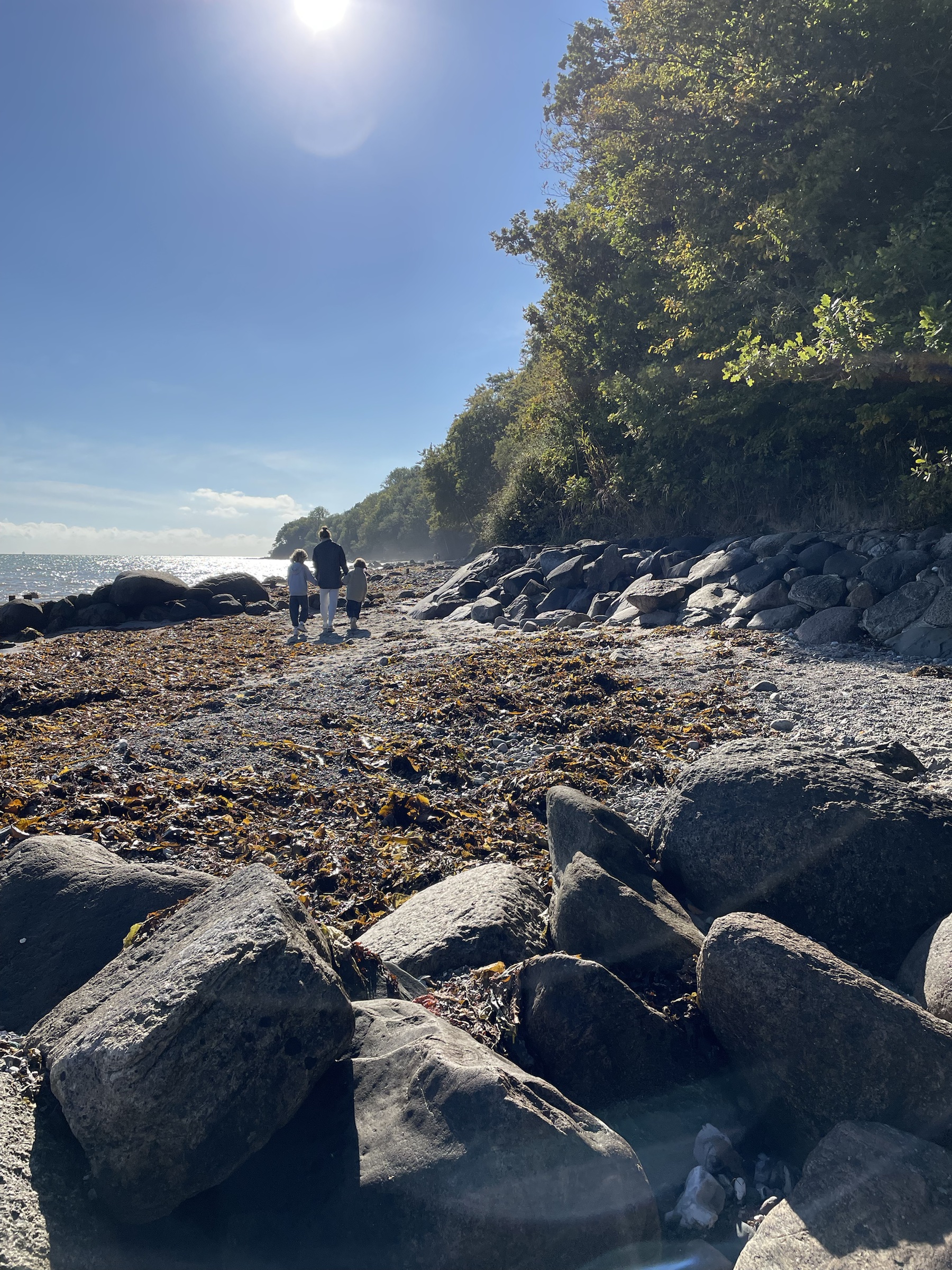 Stille strand og skovkant med børn på vej langs vandet