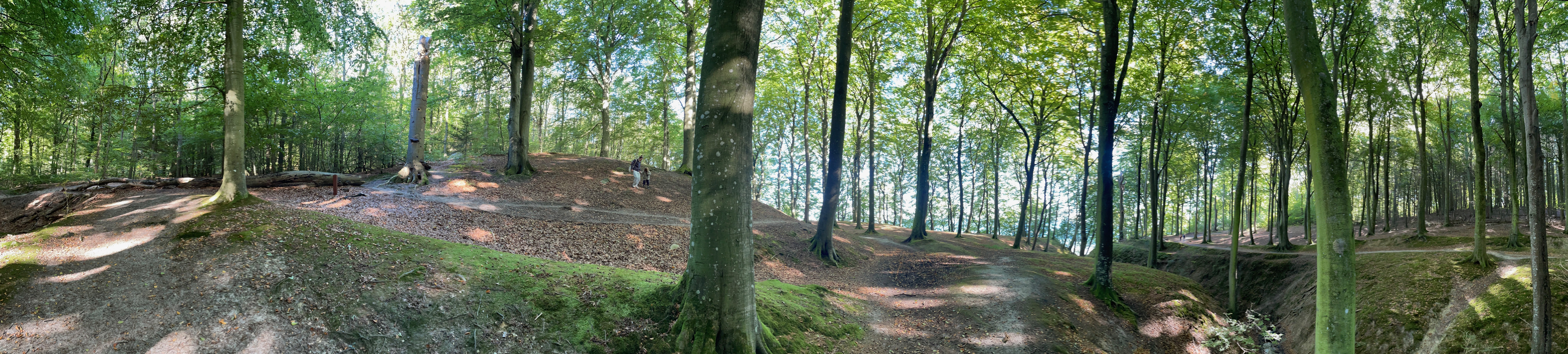 Skov, stier og vand i et bredt panorama